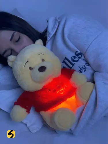 Мягкая игрушка Winnie the Pooh 🧸