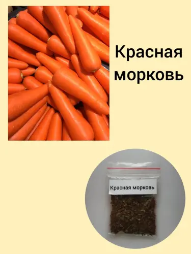 Семена моркови Sabzi urug‘i
