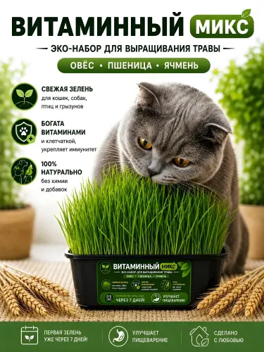 Трава для кошек «Витаминный микс», набор для выращивания травы
