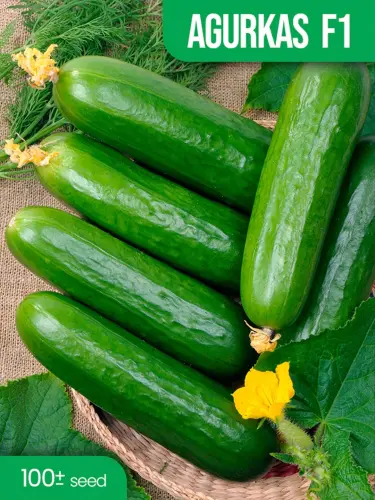 Семена овощей для дома Seeds